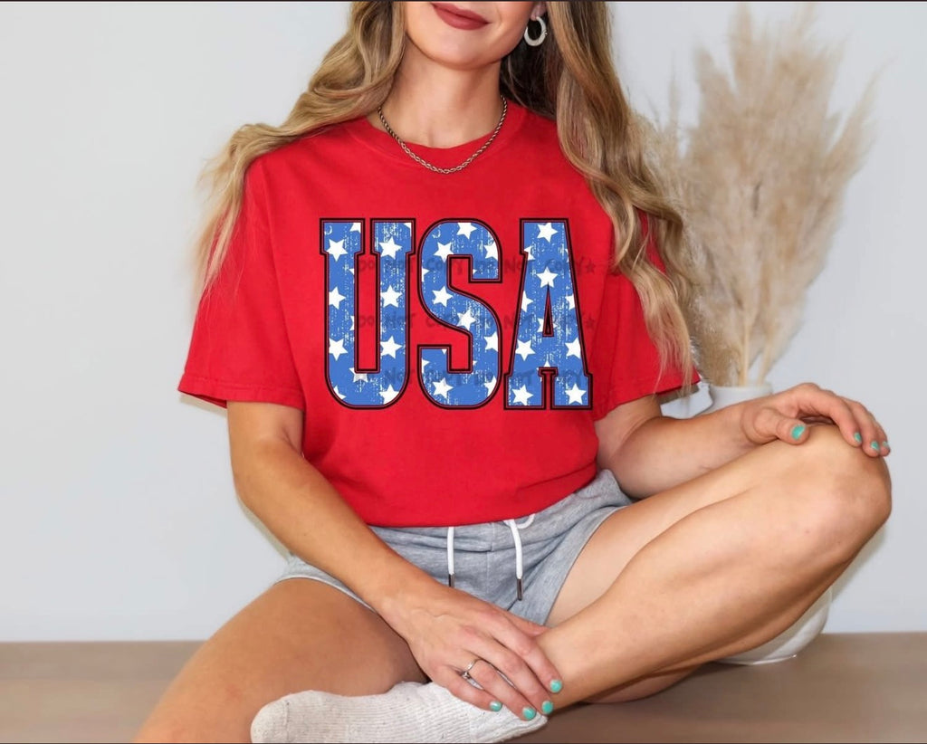 Preorder USA Gildan tee