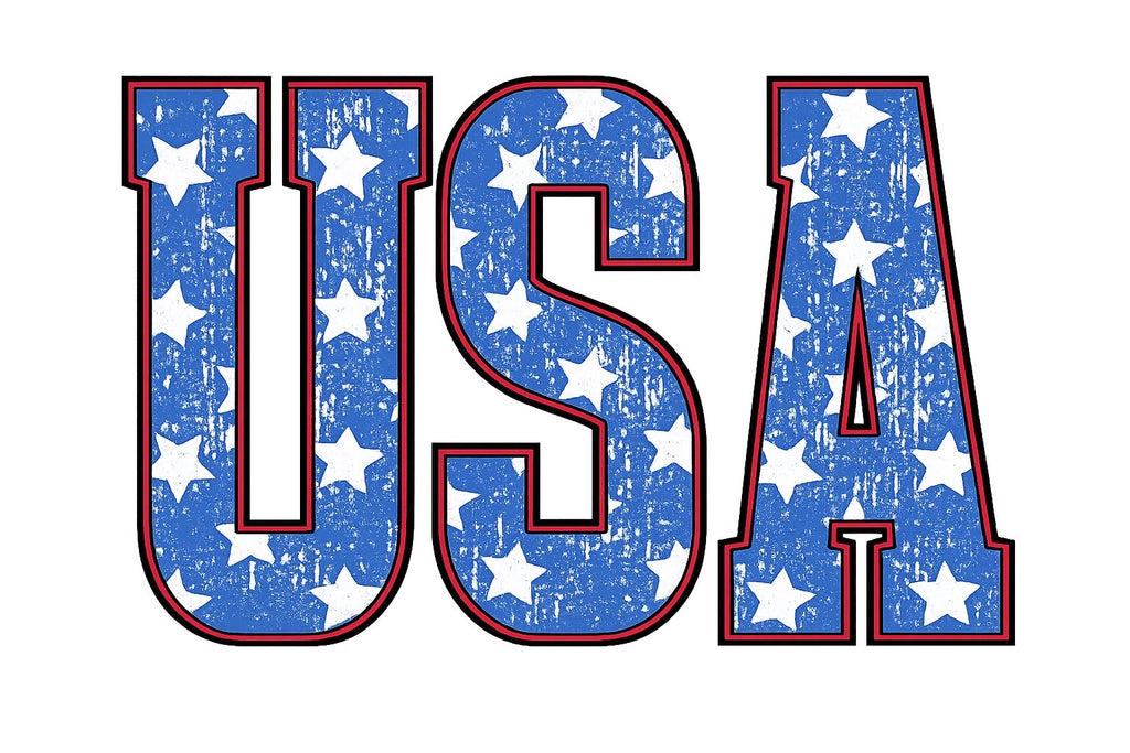 Preorder USA Gildan tee